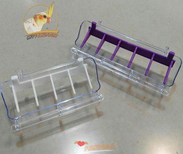 عکس ظرف غذای طوطی