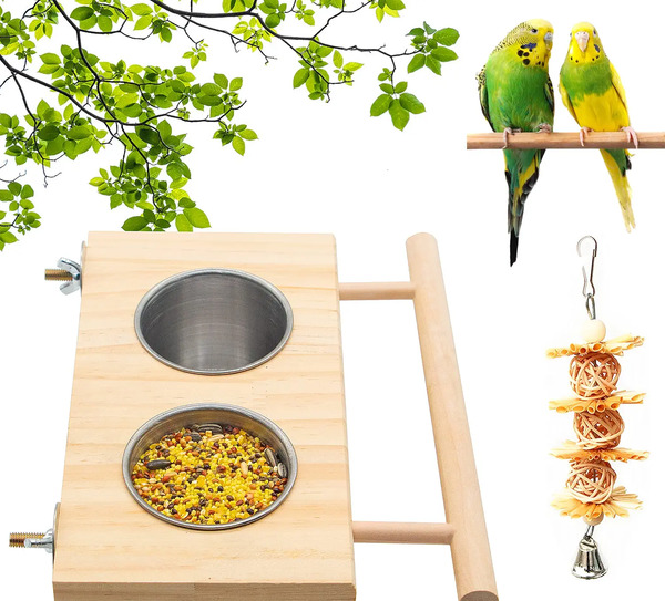عکس ظرف غذای طوطی