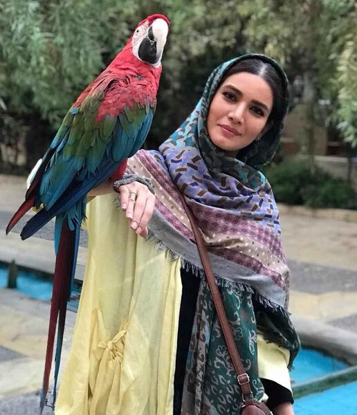 عکس از طوطی آرا