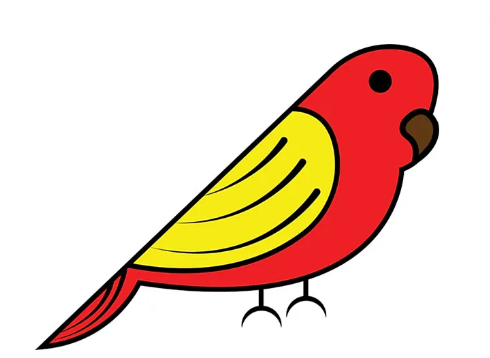 عکس نقاشی طوطی ساده