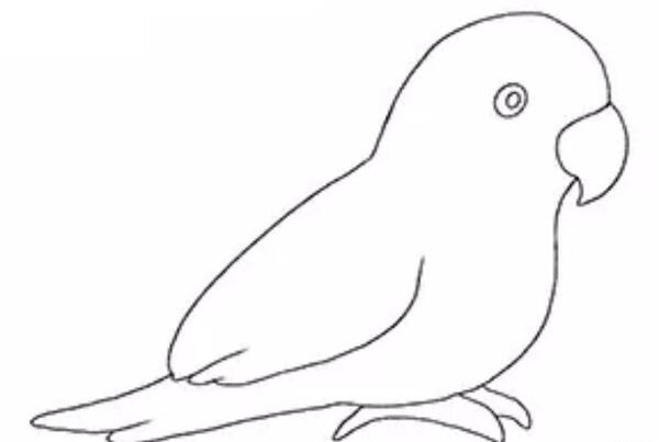 عکس نقاشی طوطی رنگ شده