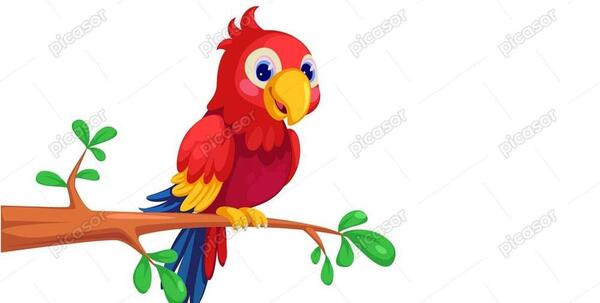 عکس نقاشی طوطی رنگ شده
