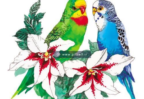 عکس نقاشی طوطی رنگ شده