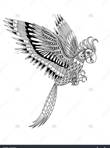 عکس نقاشی طوطی رنگ شده