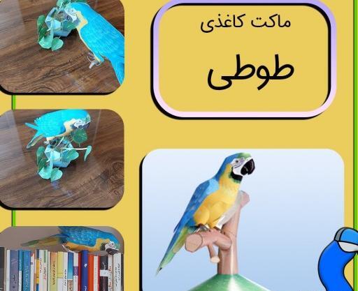 عکس کاردستی طوطی