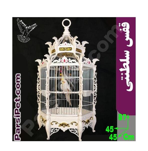 عکس طوطی قفسی