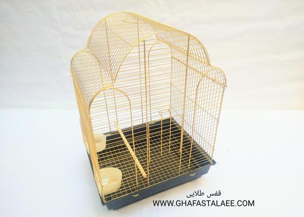عکس طوطی با قفس