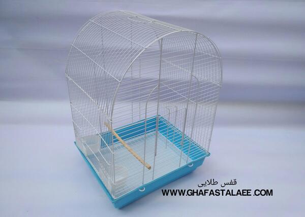 عکس طوطی با قفس