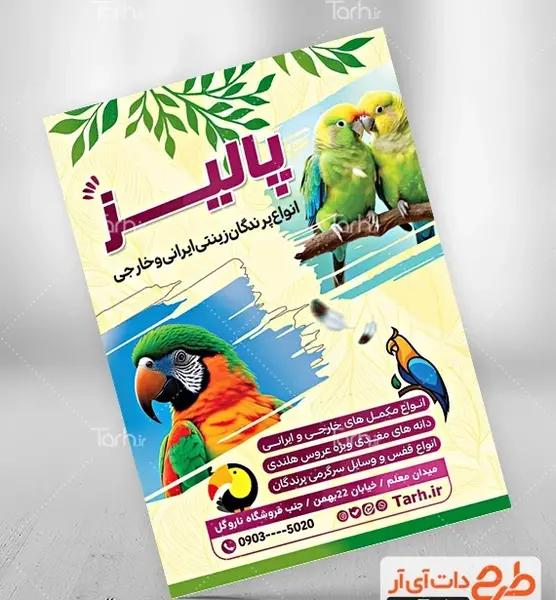 عکس از طوطی خارجی