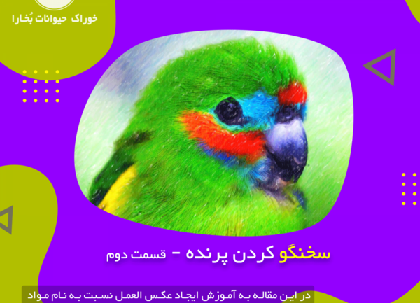 عکس پرنده طوطی سخنگو
