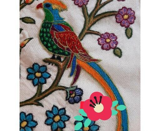 عکس پته طوطی