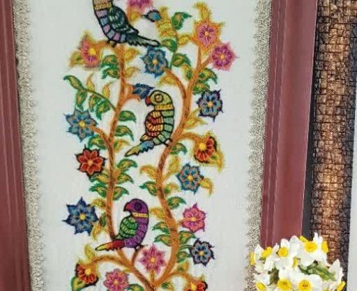 عکس پته طوطی