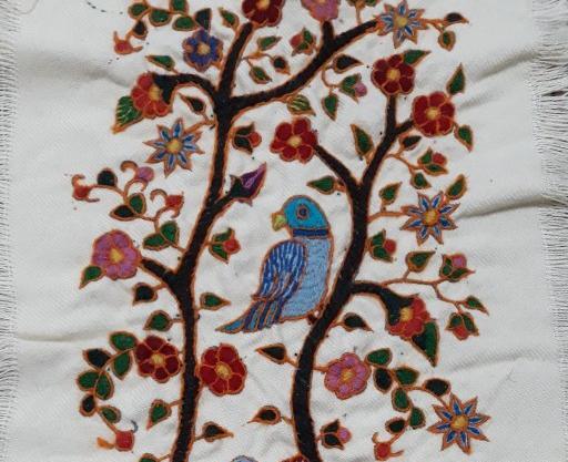 عکس پته طوطی