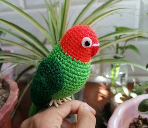 عکس اسباب بازی طوطی برزیلی
