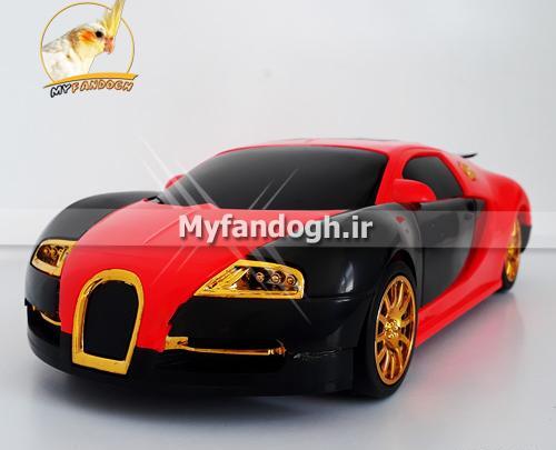عکس اسباب بازی طوطی ها
