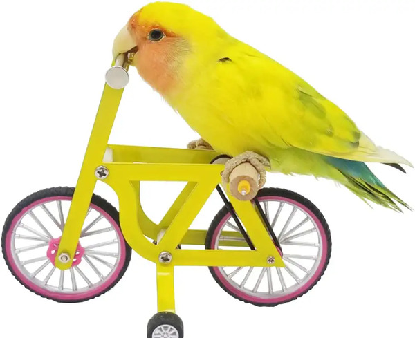 عکس اسباب بازی طوطی ها