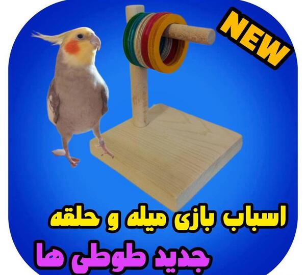 عکس اسباب بازی طوطی ها