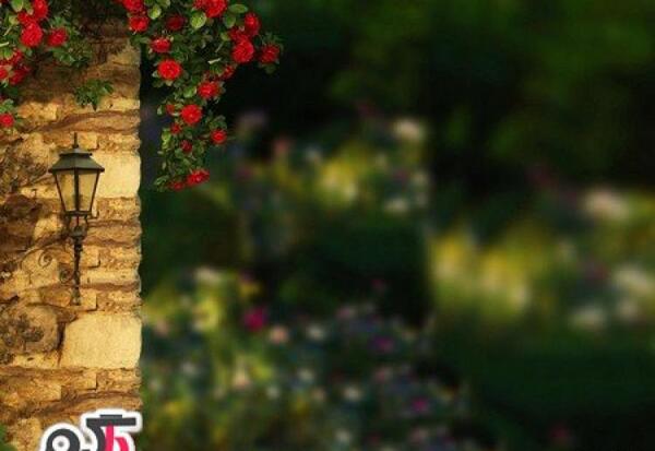 عکس های طبیعت زیبا و بکر
