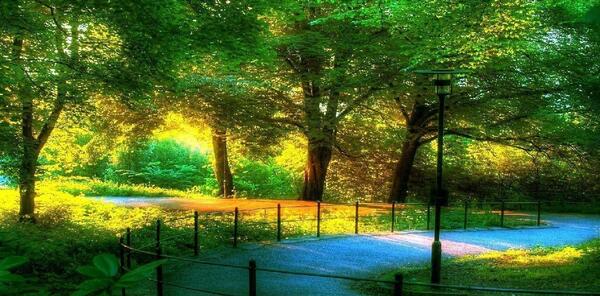 عکس های طبیعت زیبا و بکر