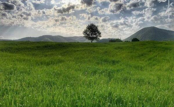 عکس طبیعت بکر زیبا