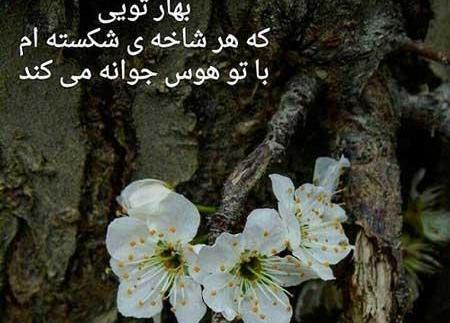 عکس نوشته زیبای بهاری برای پروفایل