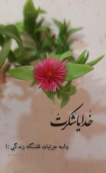 عکس پروفایل زیبای خدایی