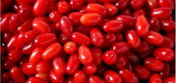 عکس زغال اخته آبی