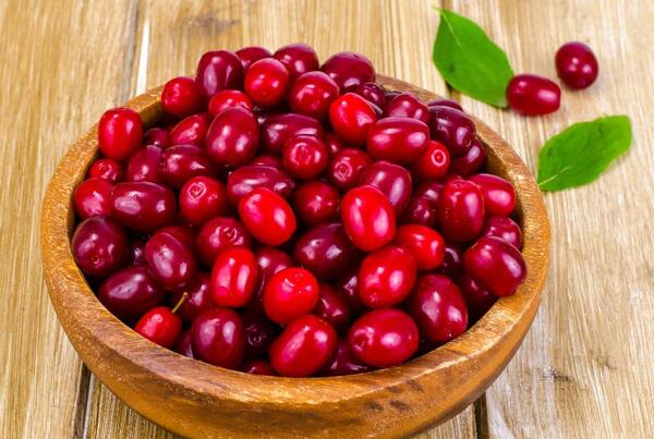 عکس میوه زغال اخته