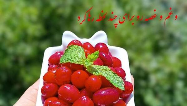 عکس میوه زغال اخته
