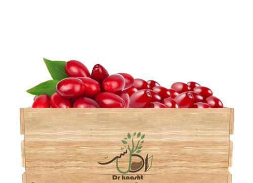 عکسهای درخت زغال اخته