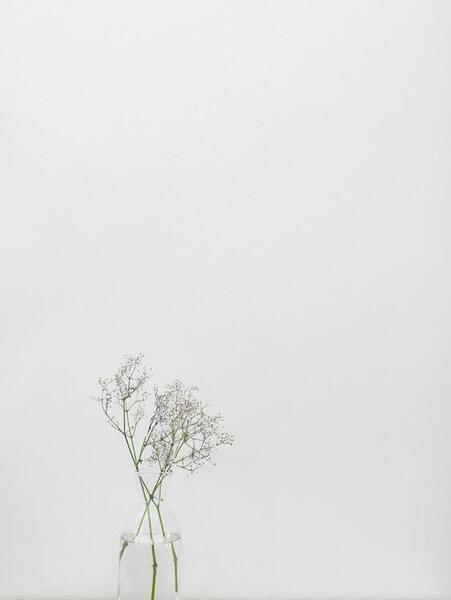 عکس ساده رنگی برای ادیت