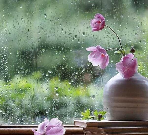 عکس ساده برای پروفایل دخترانه