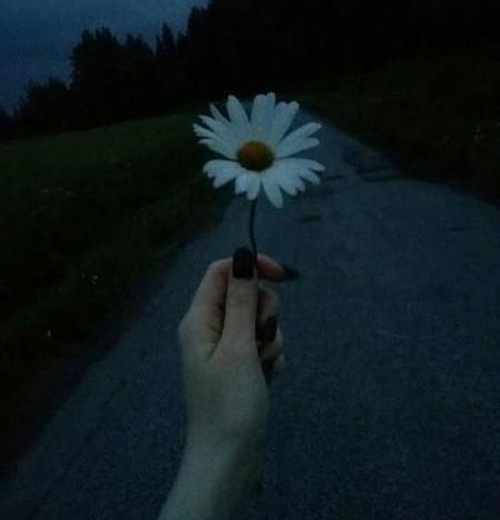 عکس ساده پروفایل دخترانه