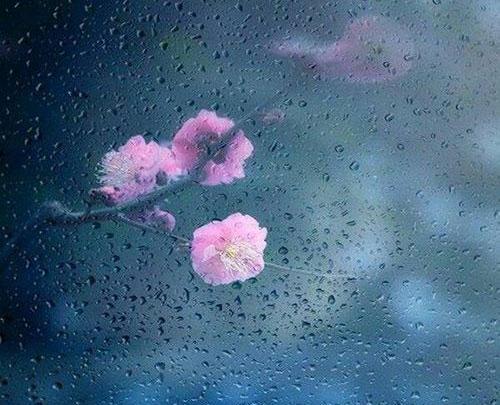 عکس ساده بدون متن برای نوشتن