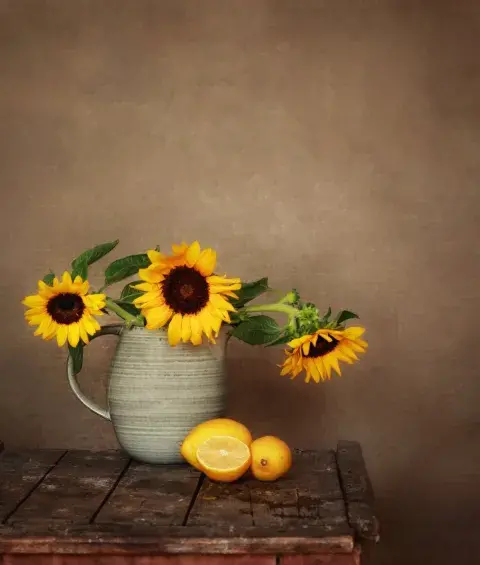 عکس ساده در طبیعت