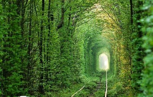 عکسهای زیبا از طبیعت جهان