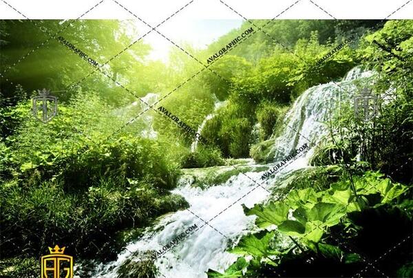 عکس جنگل و طبیعت زیبا