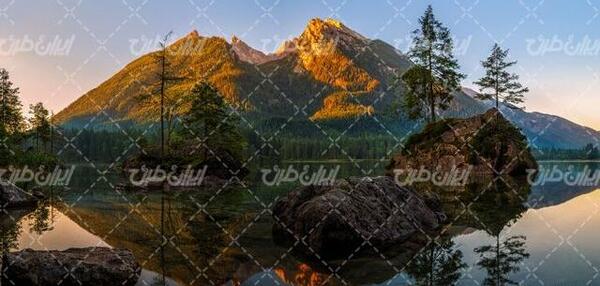 عکس جنگل و طبیعت زیبا