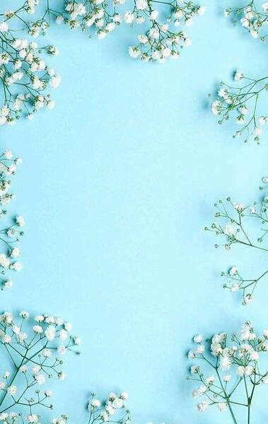 عکس ساده برای تصویر زمینه گوشی
