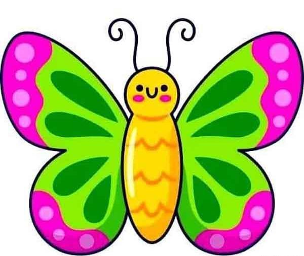 عکس پروانه ساده نقاشی