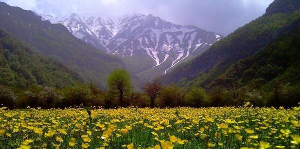 عکس طبیعت با گل