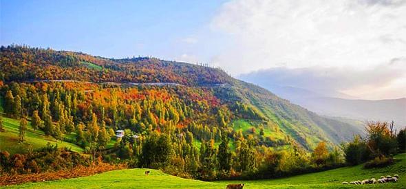 عکس از طبیعت ییلاق