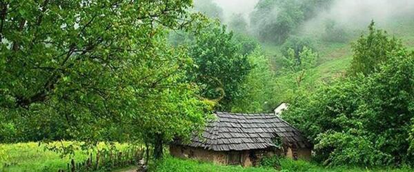 عکس از طبیعت ییلاق