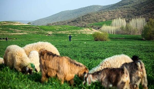 دانلود عکس طبیعت کرمانشاه