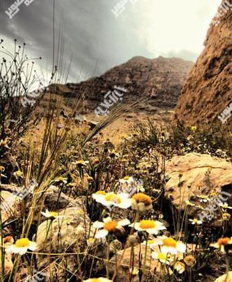 عکس طبیعت لارستان