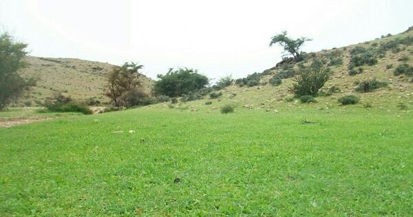 عکس طبیعت لارستان