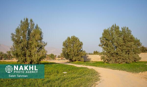 عکس طبیعت لارستان