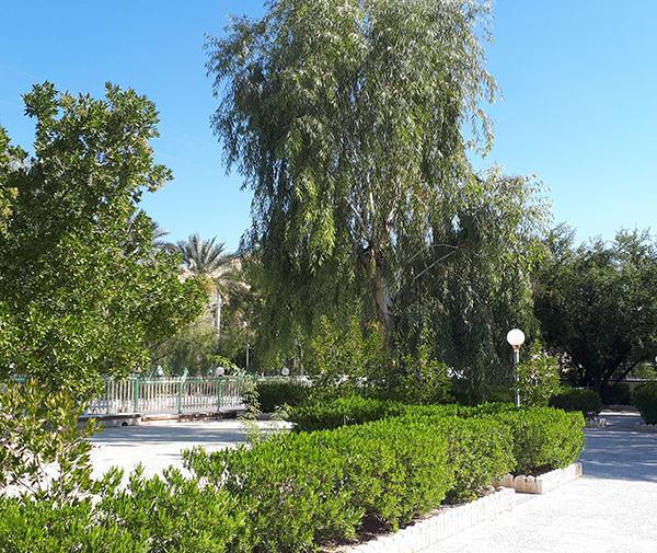 عکس طبیعت لارستان