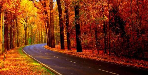 عکس طبیعت نور مازندران