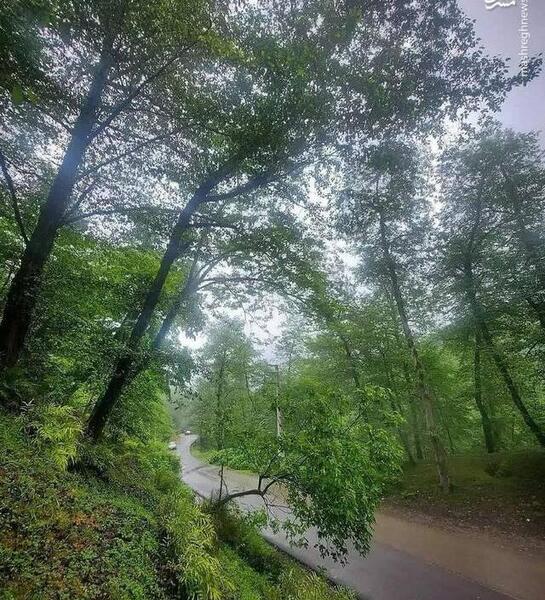 عکس طبیعت نور مازندران